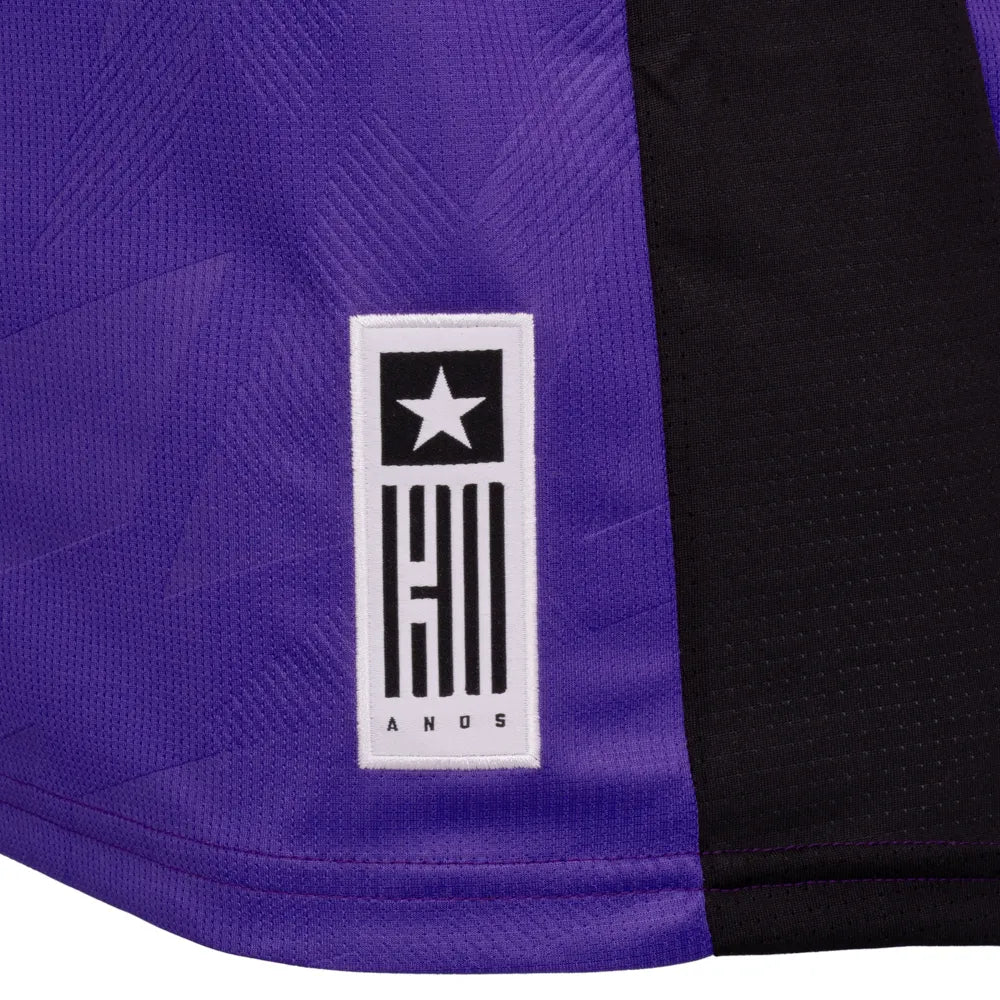 Camisa Botafogo Goleiro III 24/25 Roxo