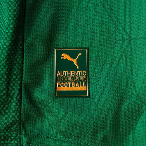 Camisa Palmeiras I 25/26 Jogador Masculina Verde
