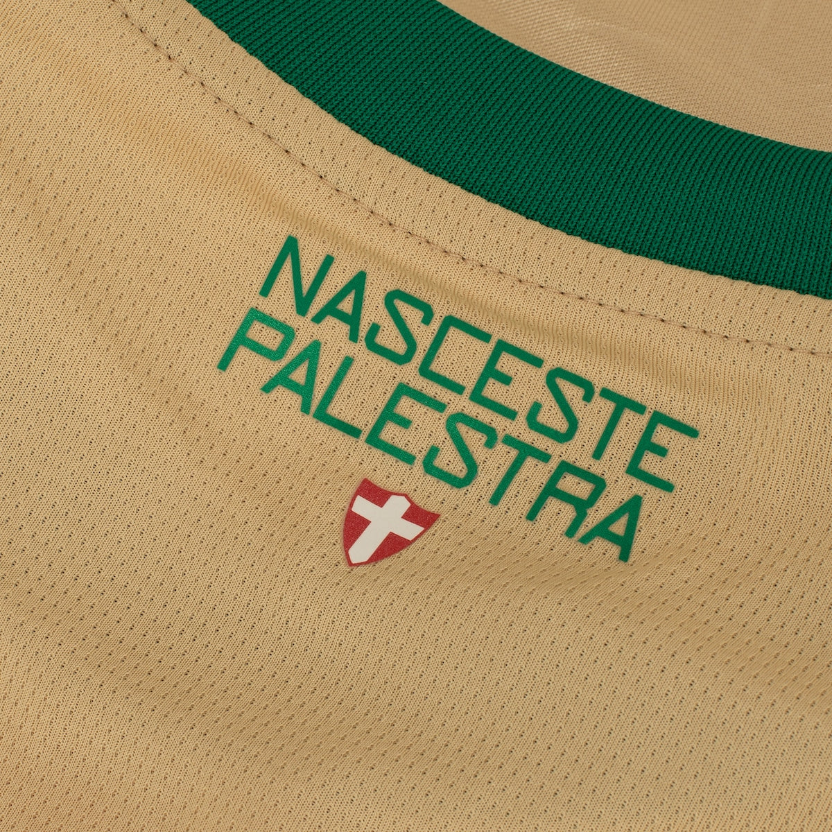 Camisa Palmeiras III 24/25 Feminina