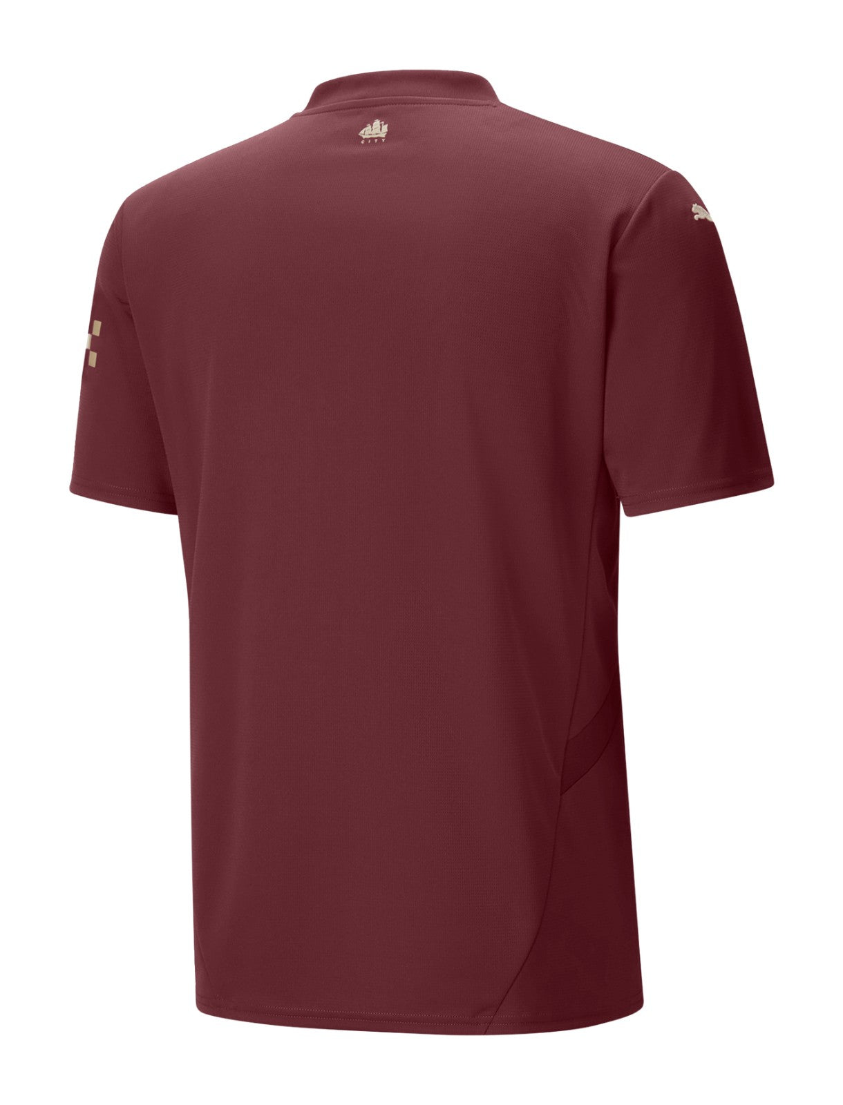 Camisa Manchester City III 24/25 Torcedor Puma Masculina