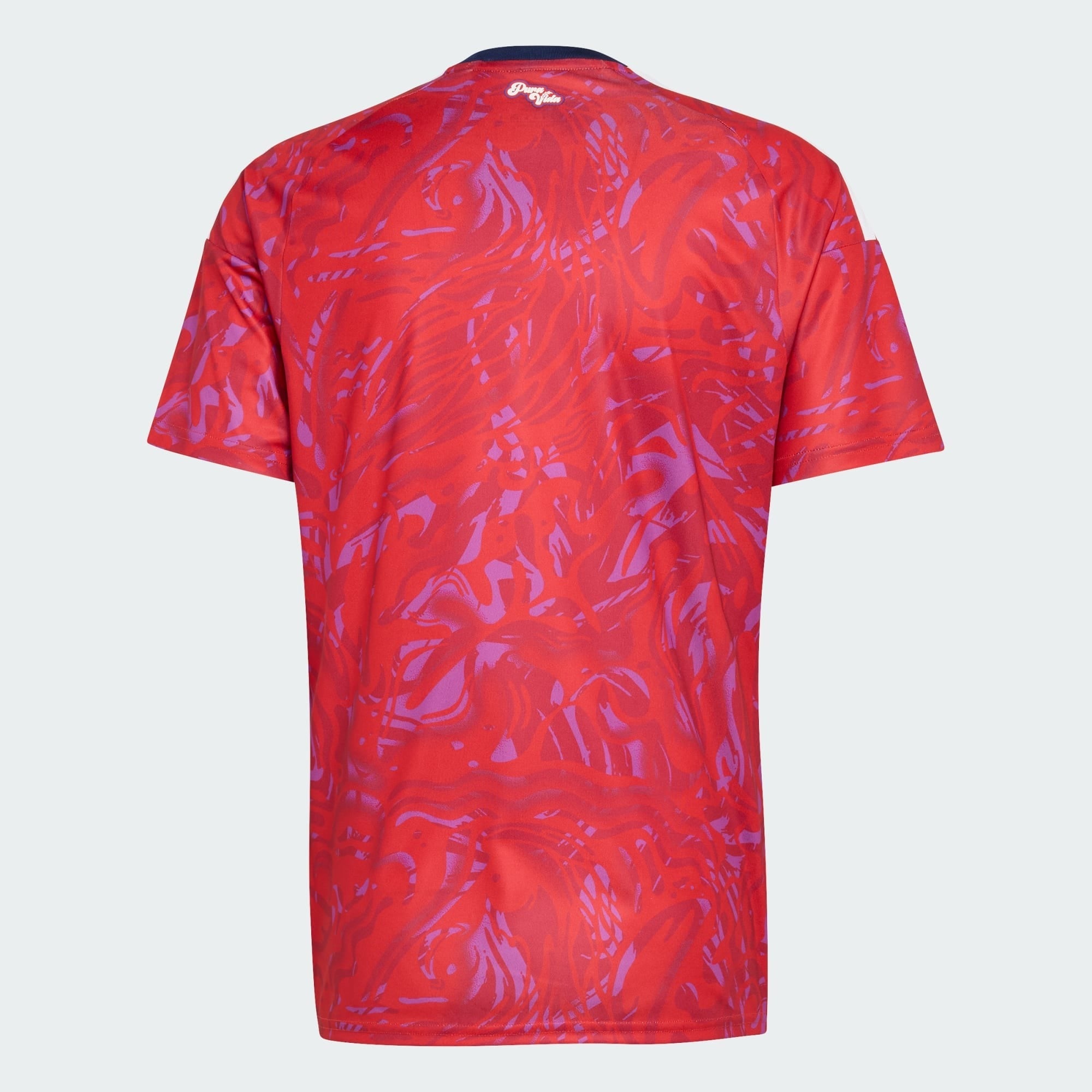 Camisa Costa Rica I 2026 - Torcedor Masculina - Vermelha