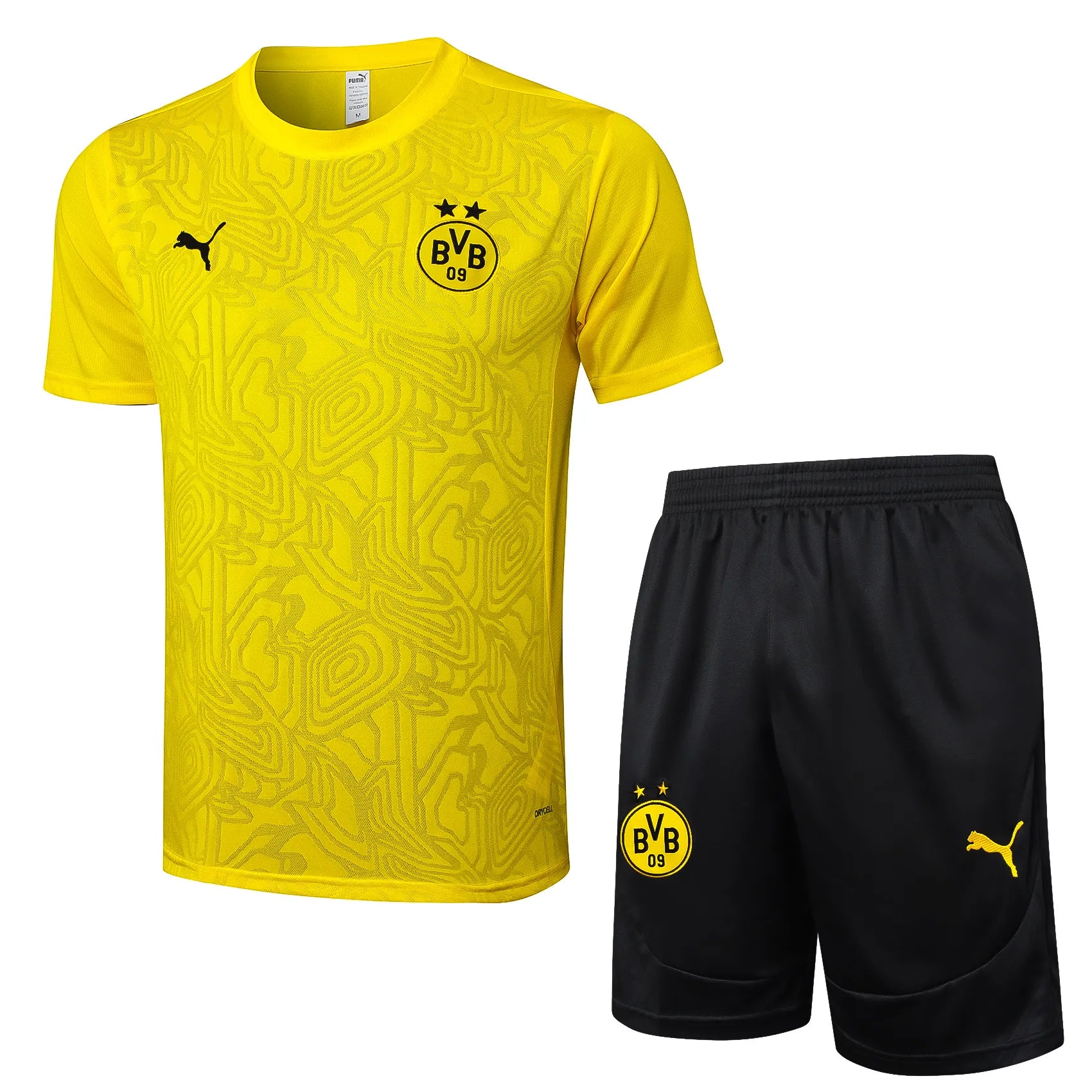 Conjunto Borussia Dortmund Treino 24/25 Amarelo