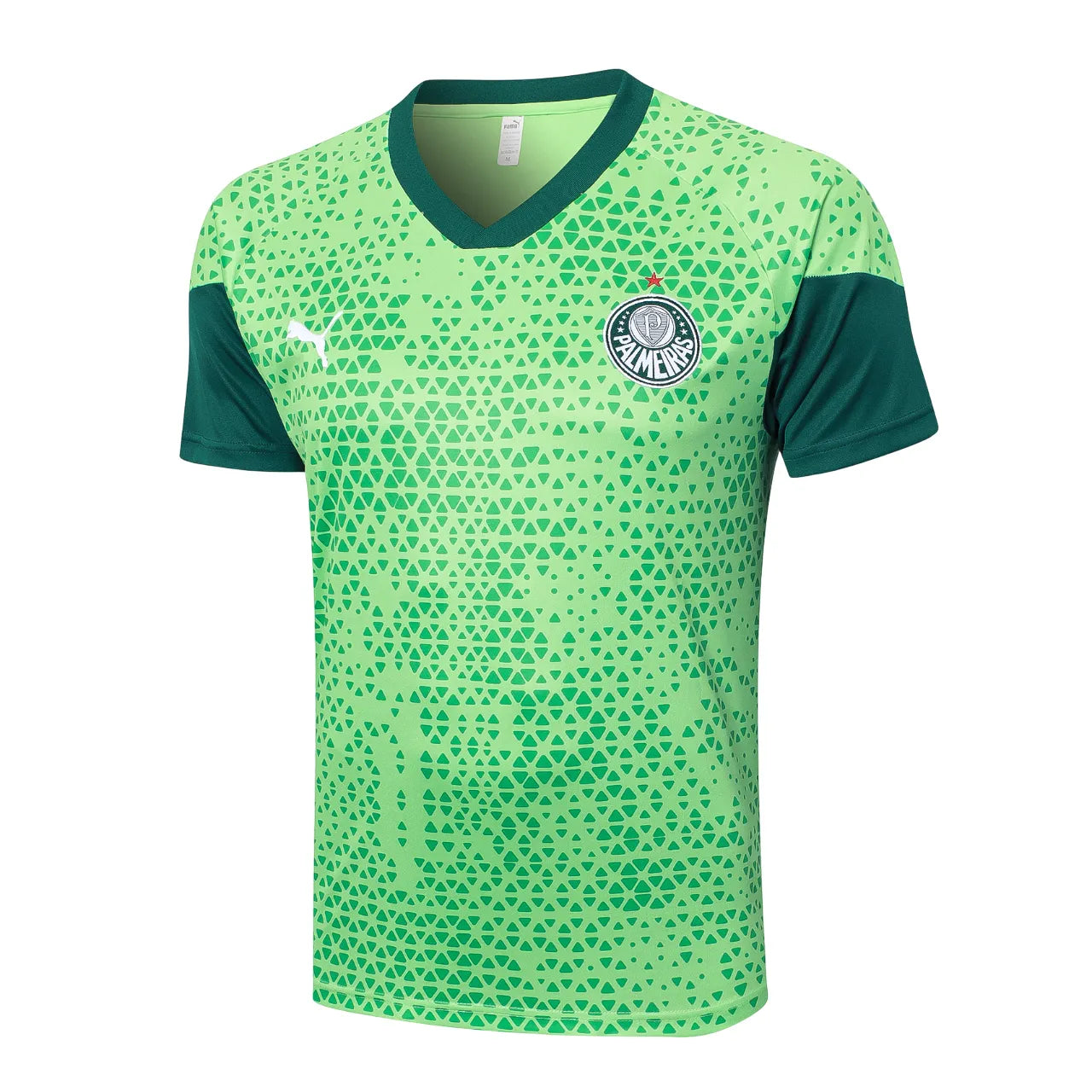 Conjunto Palmeiras Treino 24/25 Verde