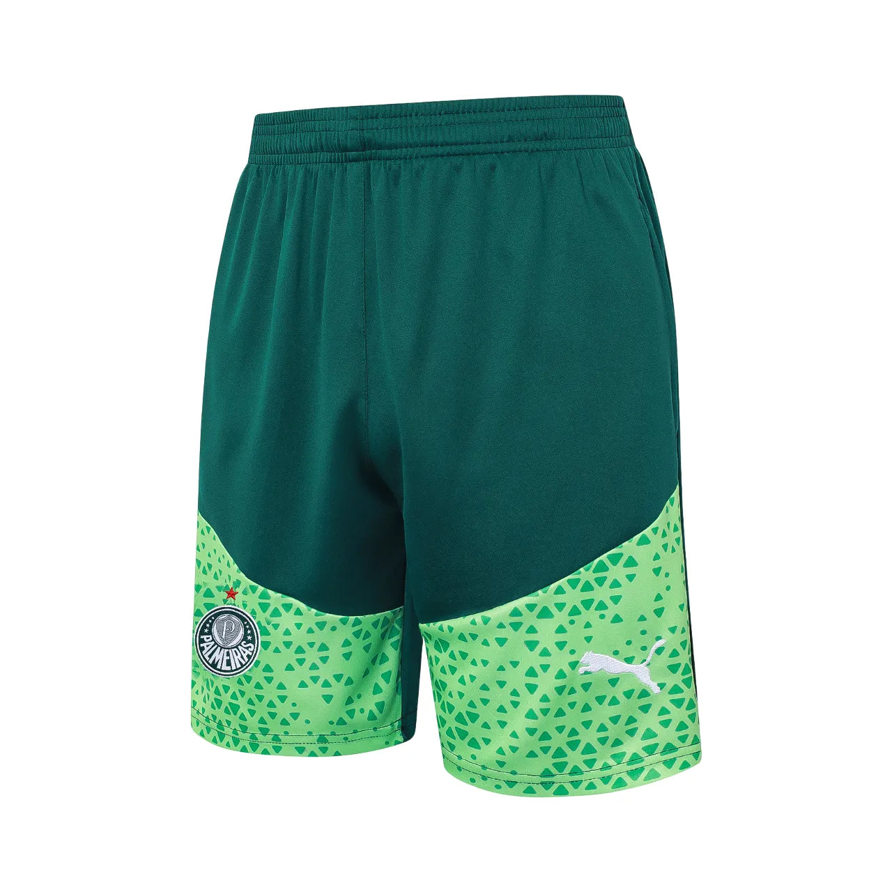 Conjunto Palmeiras Treino 24/25 Verde