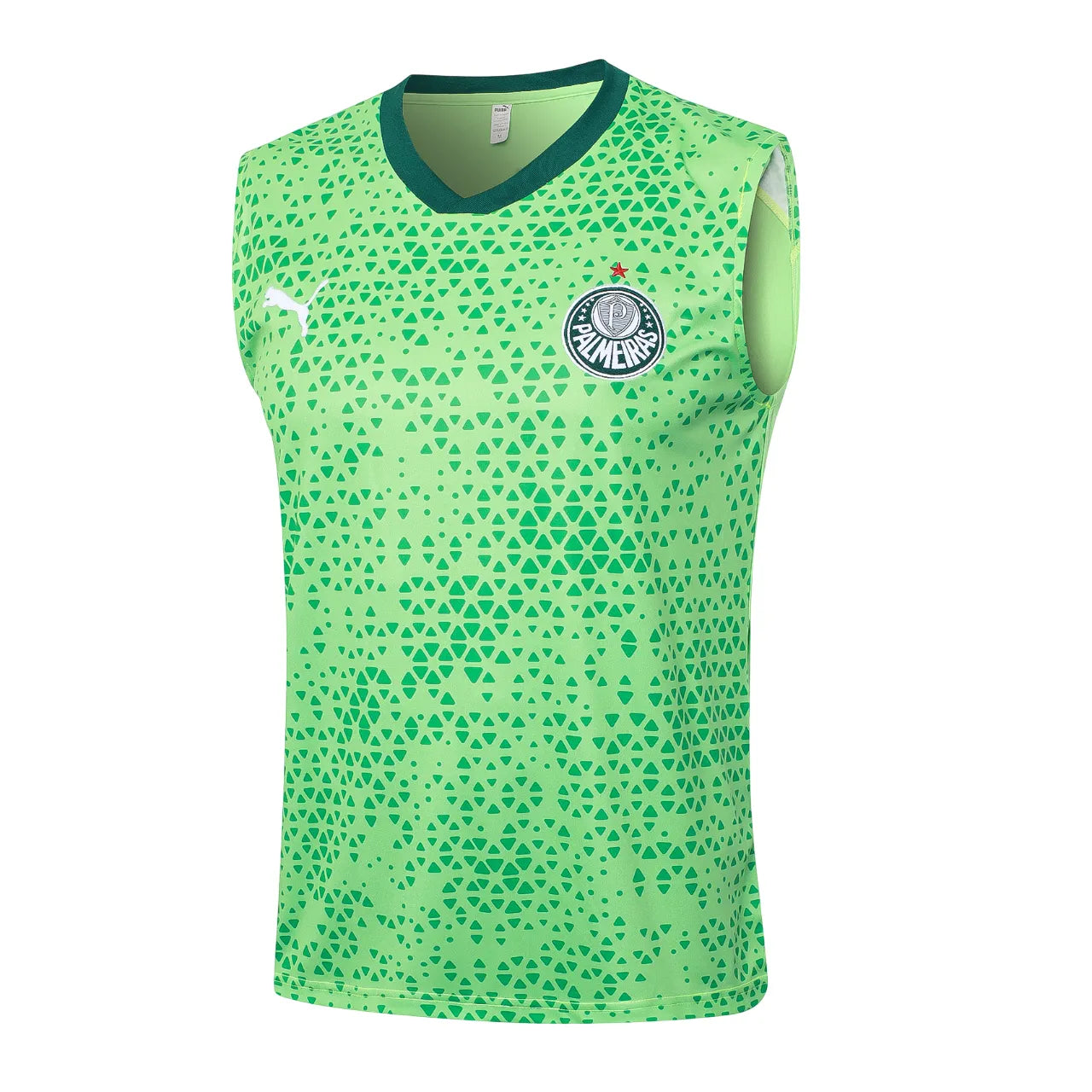 Conjunto Palmeiras Treino Regata 24/25 Verde