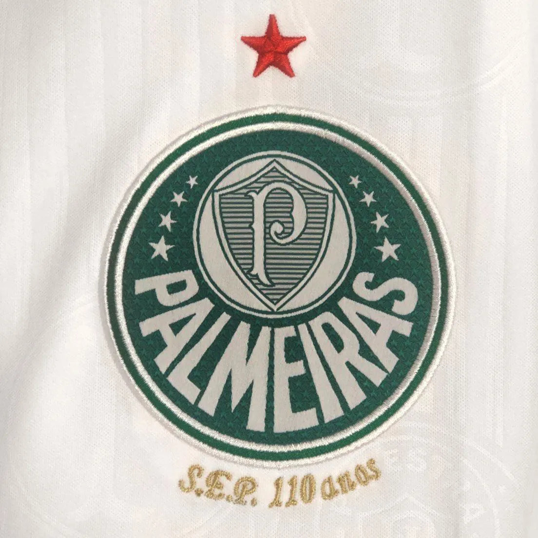 Camisa Palmeiras II 24/25 Torcedor Masculina