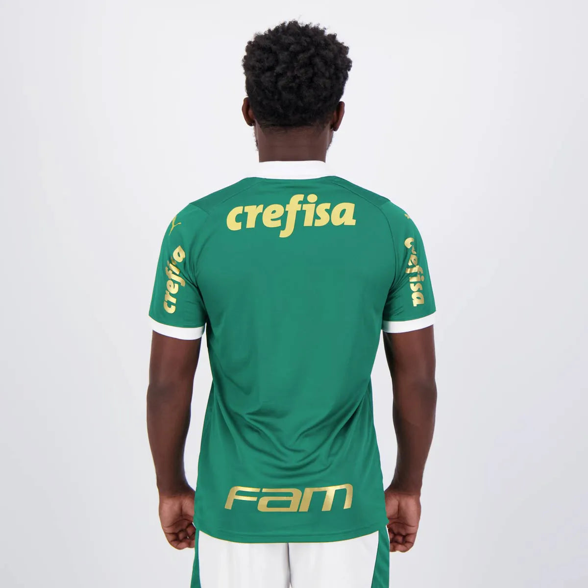 Camisa Palmeiras I 24/25 Torcedor Masculina Patrocínios + Patch