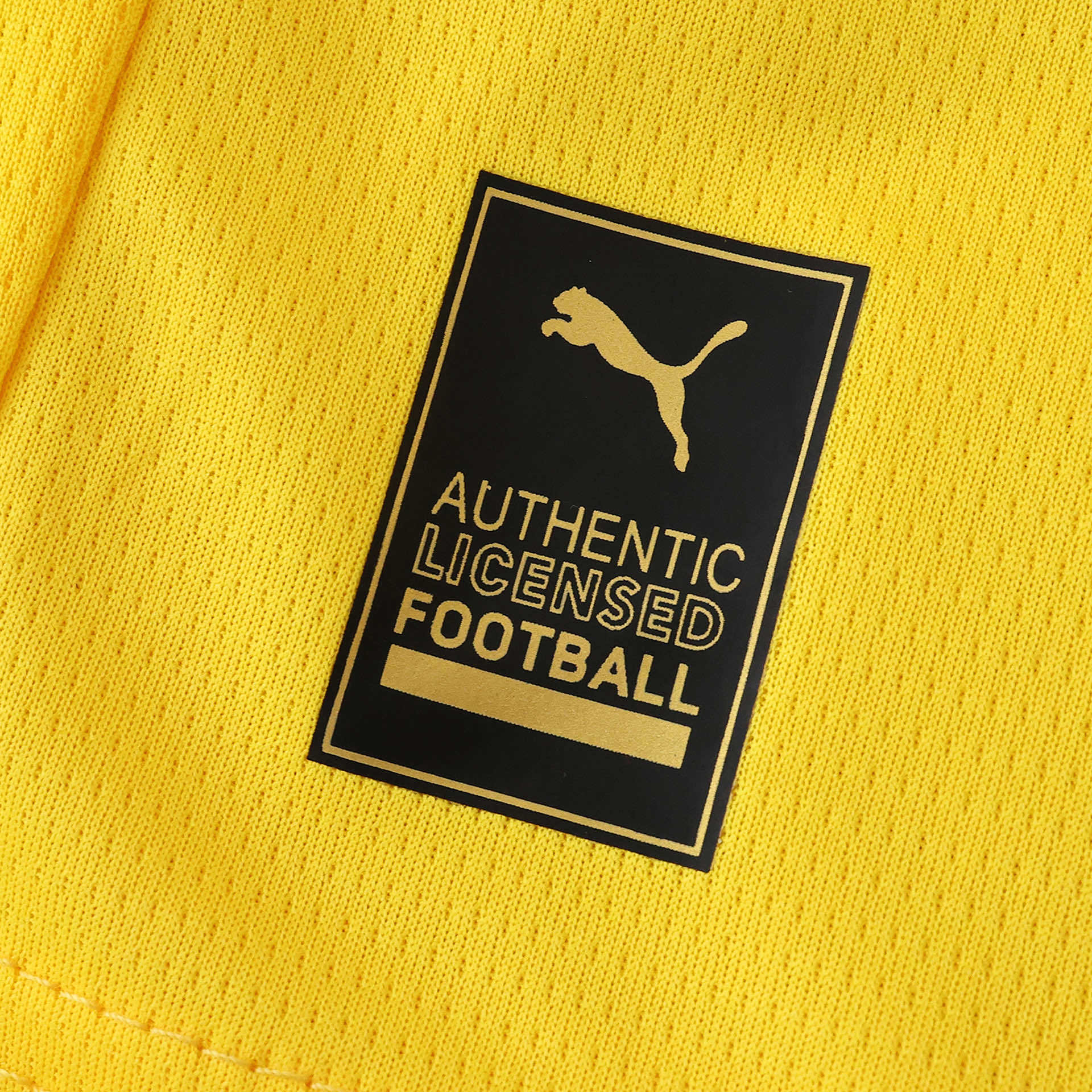 Conjunto Infantil Borussia Dortmund I 25/26