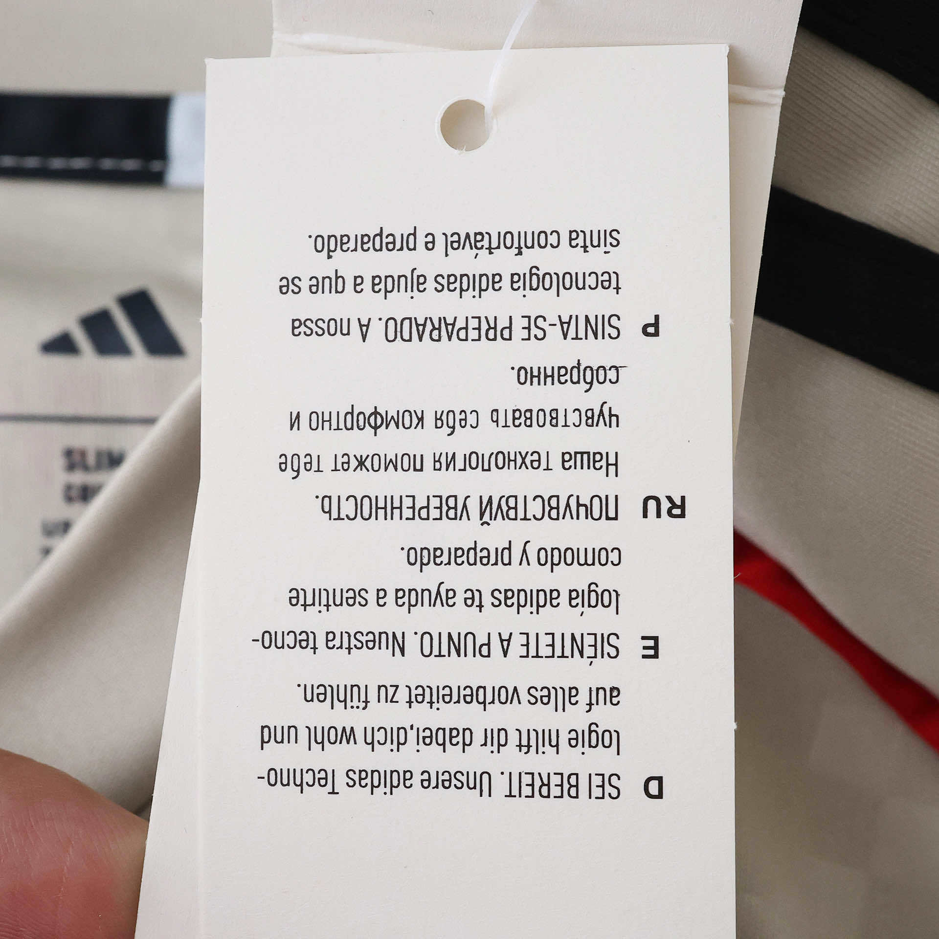 Conjunto Infantil Benfica II 25/26