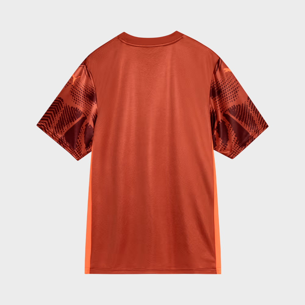 Camisa Palmeiras II Goleiro 25/26 Torcedor Puma Vermelha