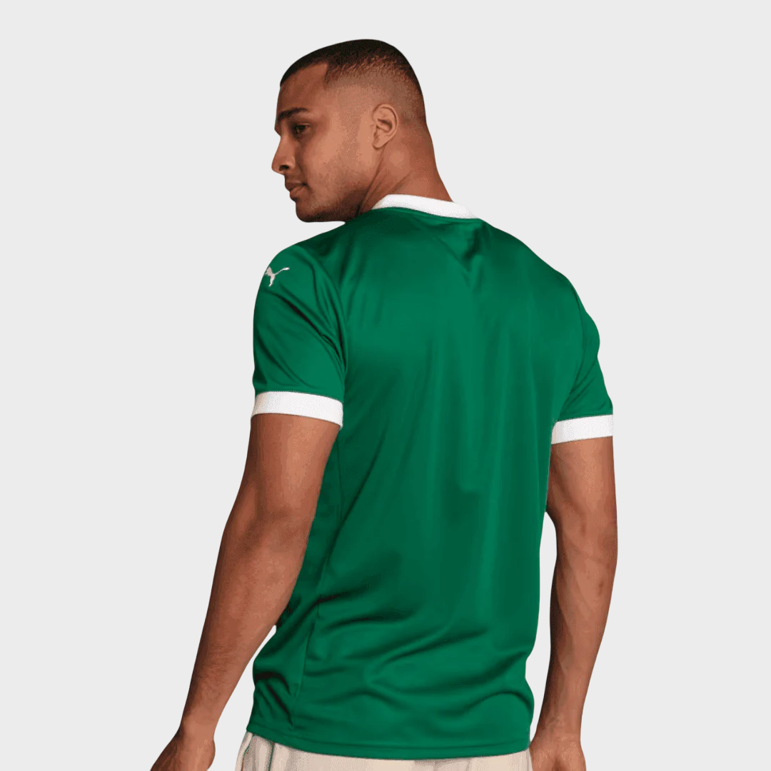 Camisa Palmeiras I 25/26 Torcedor Masculina
