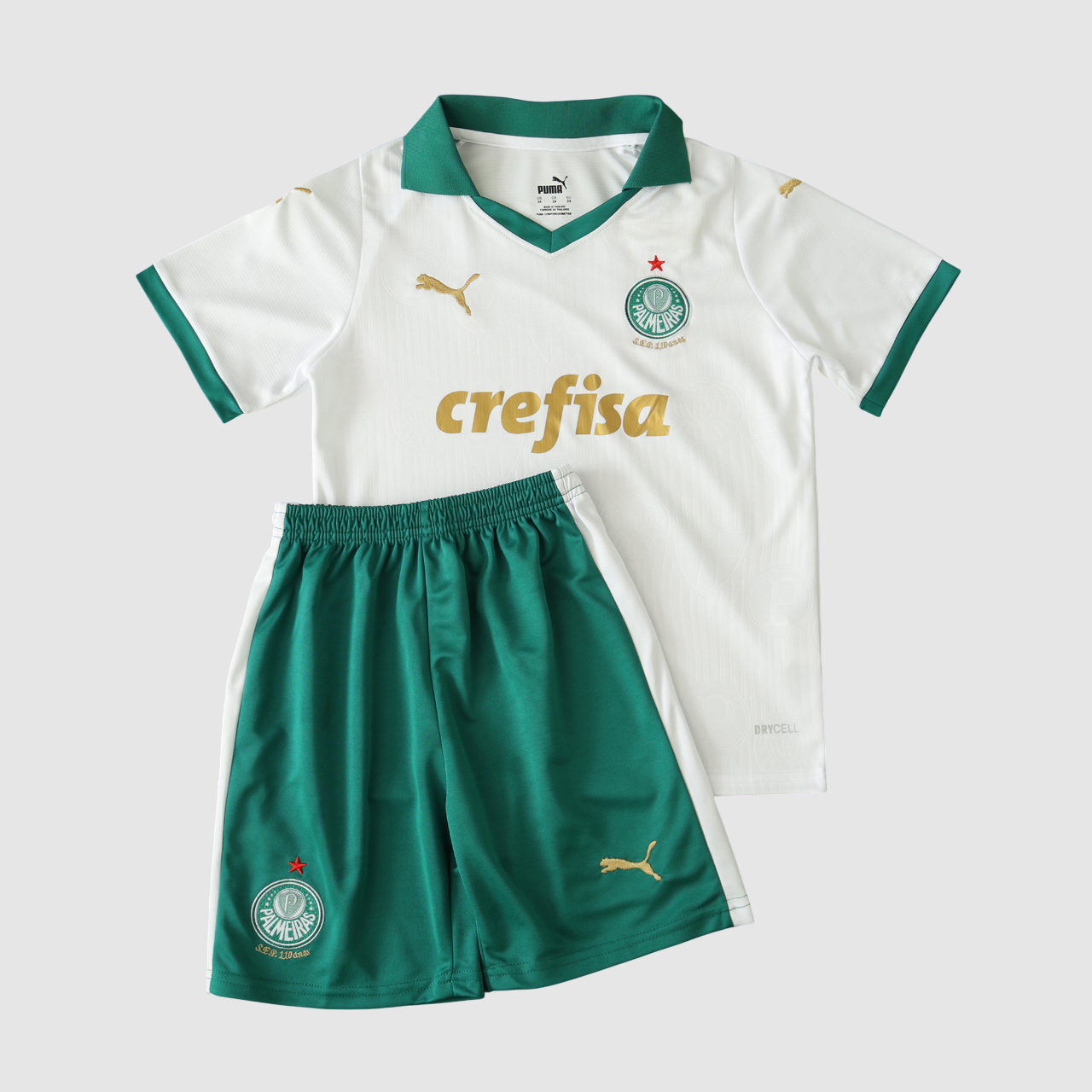 Conjunto Infantil Palmeiras II 24/25