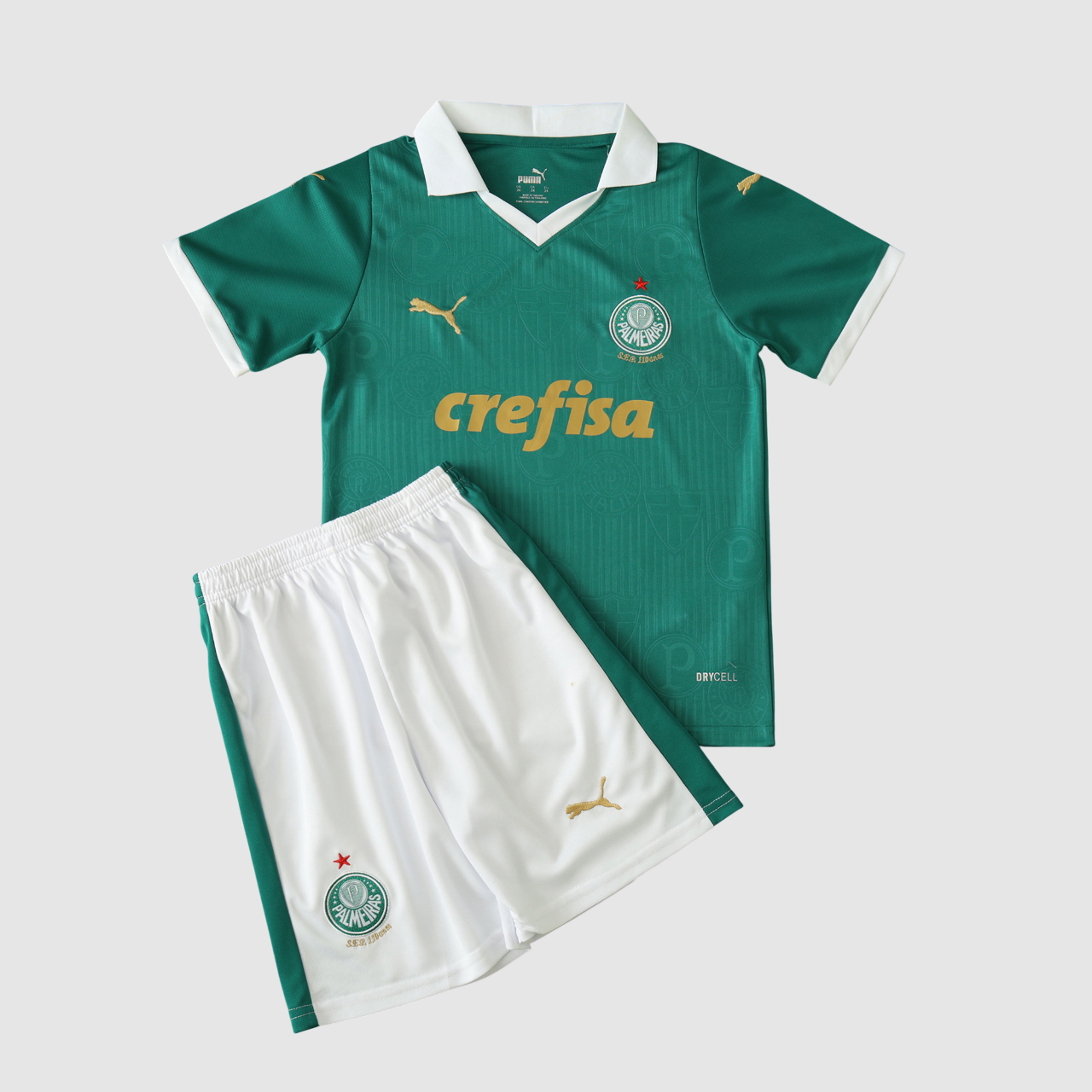 Conjunto Infantil Palmeiras I 24/25