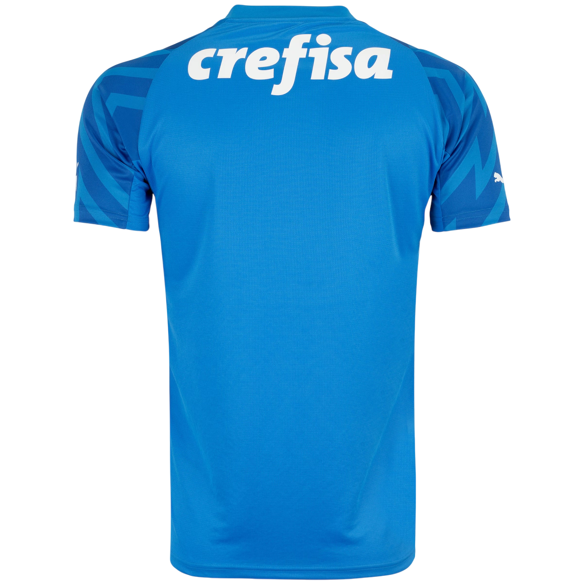 Camisa Palmeiras Goleiro I 24/25 Azul