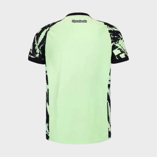 Camisa Botafogo Goleiro 25/26 Torcedor Masculina Verde