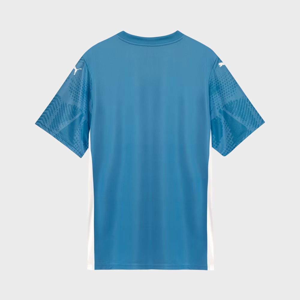 Camisa Palmeiras I Goleiro 25/26 Azul